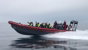 Whales